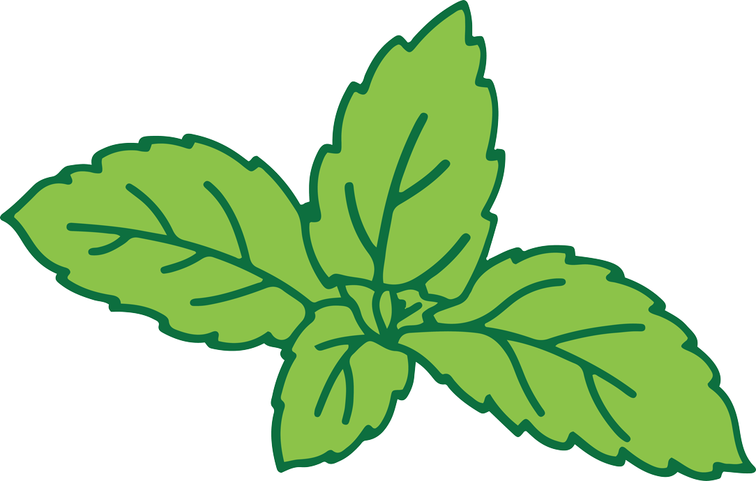 Verdevasinicola